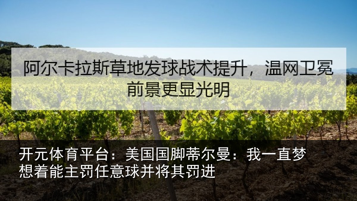 开元体育平台：美国相关情况相关情况球并将其罚进