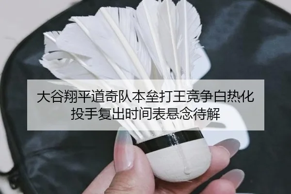 da-gu-xiang-ping-dao-qi-dui-ben-lei-da-wang-jing-zheng-bai-re-hua-tou-shou-fu-chu-shi-jian-biao-xuan-nian-dai-jie-3-593.jpg